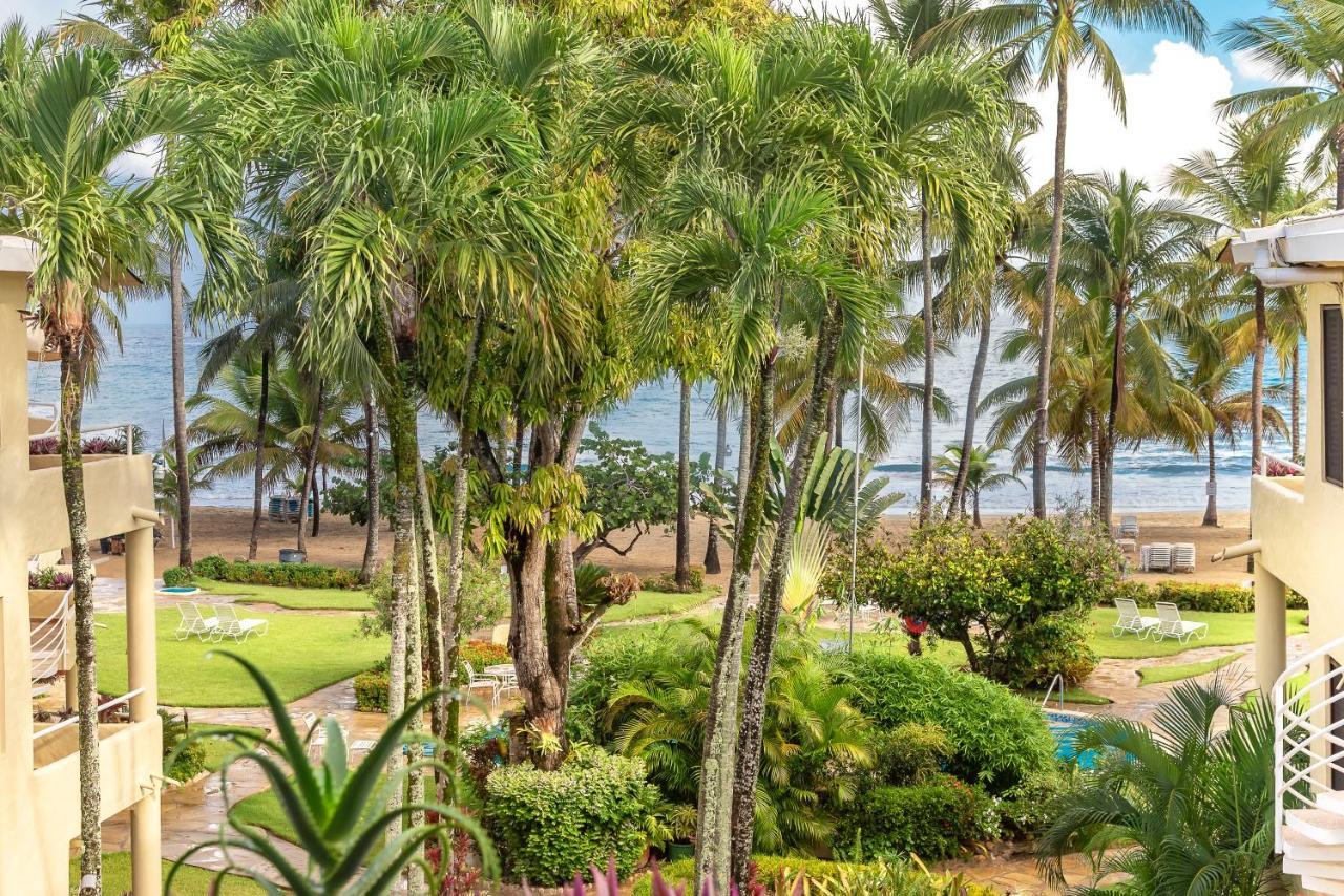 Cabarete Palm Beach Condos Eksteriør bilde