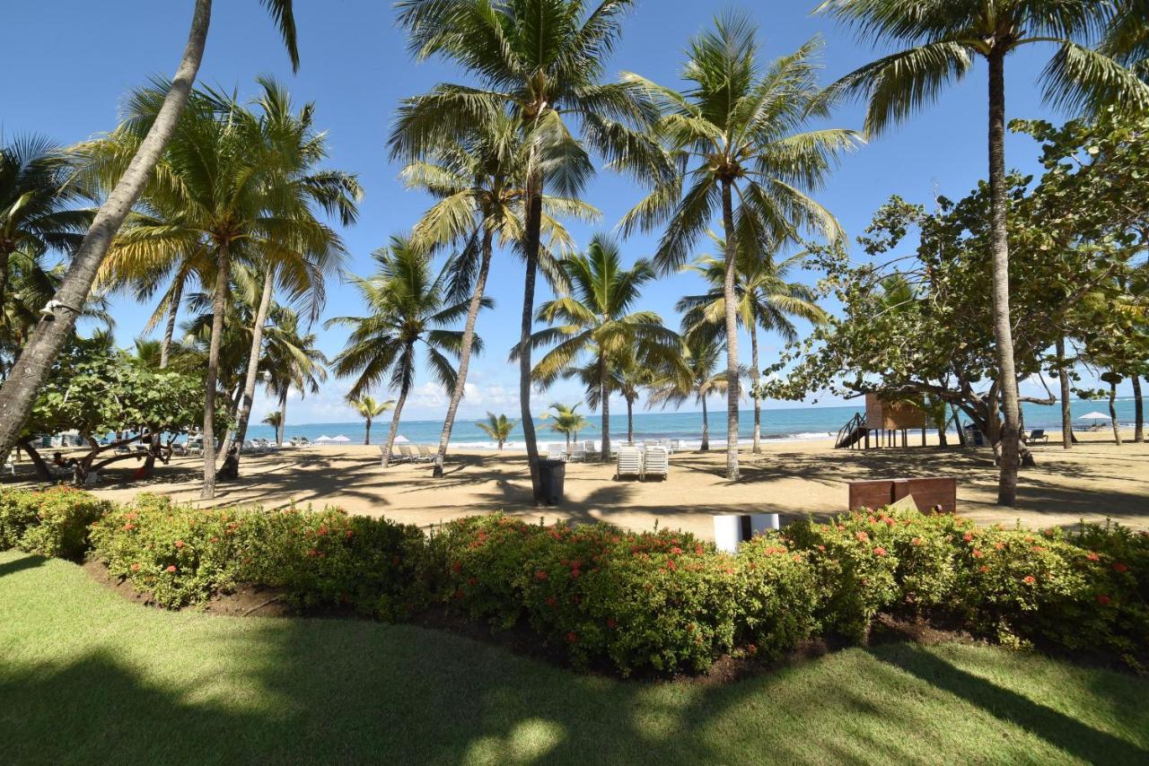 Cabarete Palm Beach Condos Eksteriør bilde